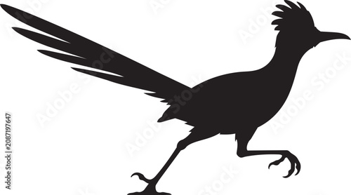 roadrunner bird silhouette running wildlife vector illustration