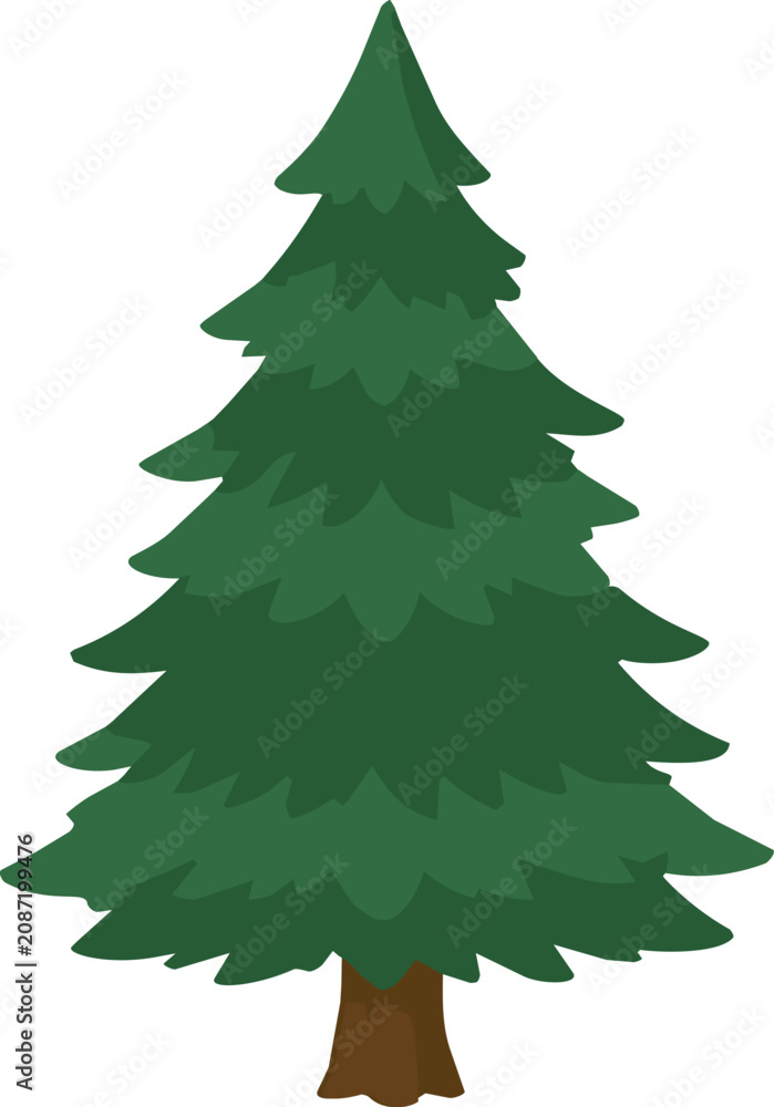 Fototapeta premium evergreen pine tree with dense green branches and a brown trunk isolated