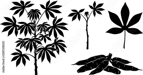 Photography Cassava Plant Silhouette Set Featuring Full Shrub Young Stem Palmate Leaf and Ha
