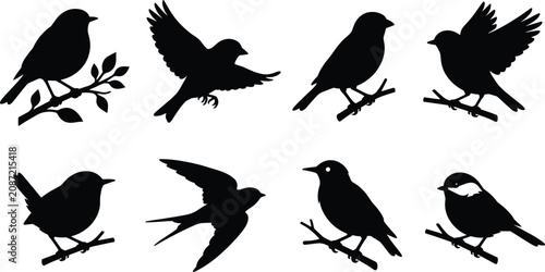 Cuadro en lienzo Set of black silhouettes featuring various small songbirds perched on branches a