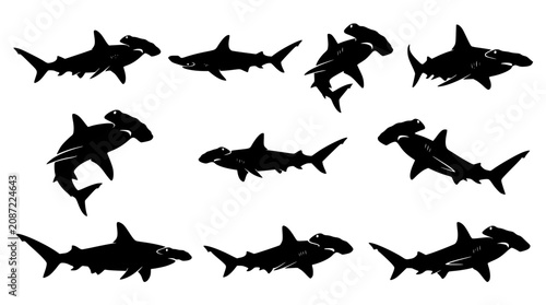 Bild auf Leinwand Hammerhead shark silhouette icon collection featuring swimming positions of dang