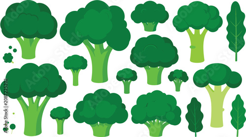 Foto Fresh Green Broccoli Vector Illustration Set Featuring Whole Heads Florets and L