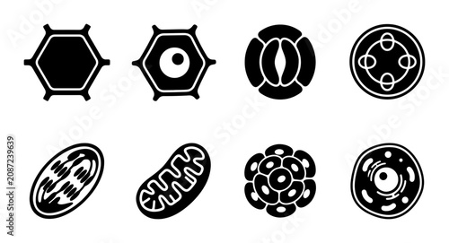 Cell Biology Icons: Plant, Animal, Organelles, Anatomy Vector Set