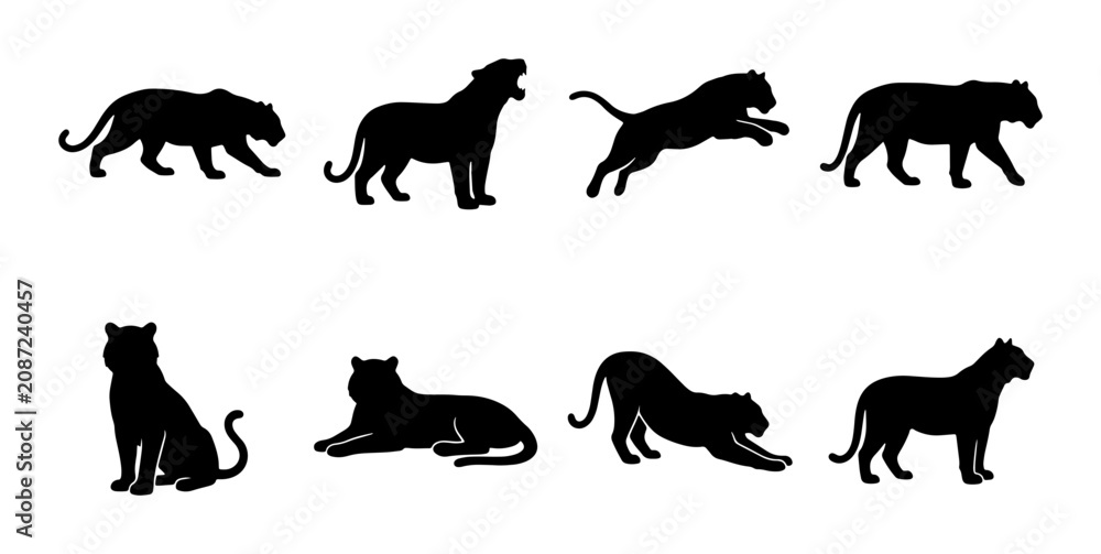 Obraz premium Jaguar Silhouettes Vector Set: Wild Cat Poses, Big Cat Graphics, Elegant Animal Icons