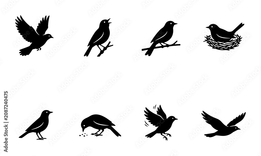 Fototapeta premium Vector Bird Silhouettes, Avian Icons, Wildlife Graphics, Nature Elements