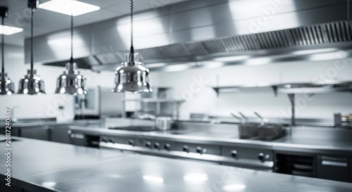 Modern Professional Commercial Kitchen with Stainless Steel Surface
