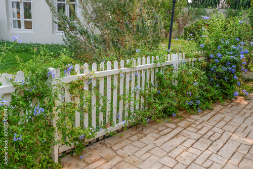 White vinyl fence and flower garden in a cottage village with outdoor backyard home private,modern fence fencing of private and green grass and blue sky,cozy home concept style,copy space.