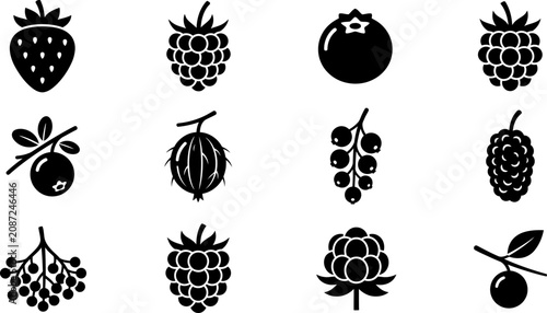 Set of black and white berry icons featuring various fresh fruits.