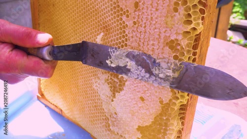 The knife cuts the wax on the frame with honey, which was taken out of the hive.