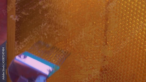 Close up of honey wood wax frame honeycomb,