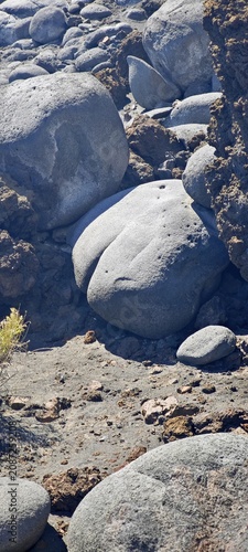 Stein in Gesäßform auf La Palma