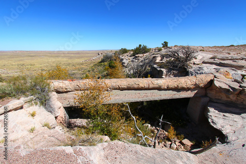 Agate Bridge Petrified Log in Arizona