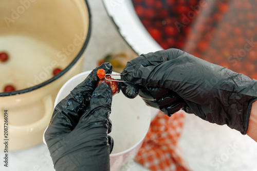 Hands Manually Removing Cherry Pits, Traditional Fruit Preparation and Food Processing Concept