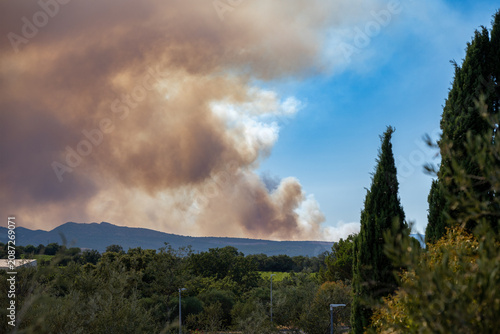Fotografie Pyrénées-Orientales, France, July 5, 2026: Smoke from the Trévillach wildfire rises behind Mediterranean hills and cypress trees near Perpignan during a major wildfire in southern France