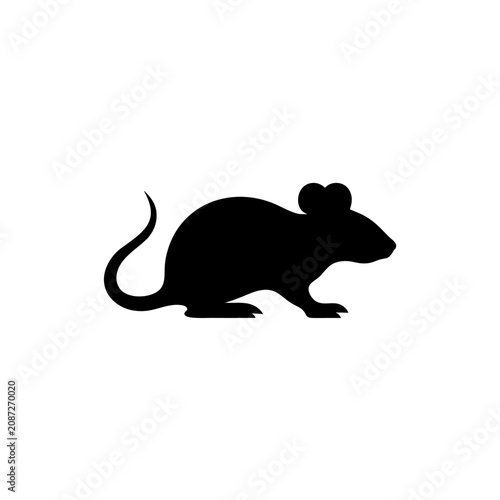 silhouette of a rat on white background
