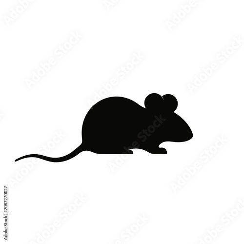 mouse with cheese on white background.