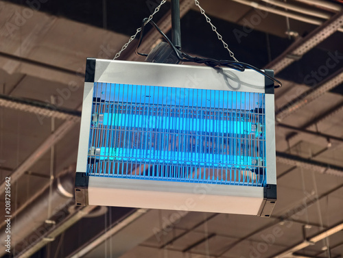 Fotografia Electric ultraviolet insect killer with UV lamp trap for flies mosquitoes and midges is displayed in store