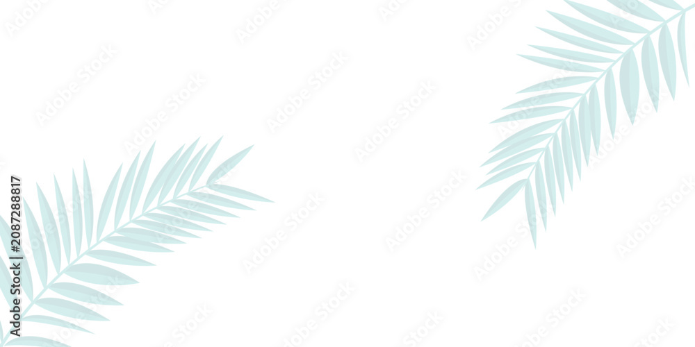 Obraz premium White background with gray outline of palm branches, horizontal background, Abstract background with grey shadows leaf bamboo tree.