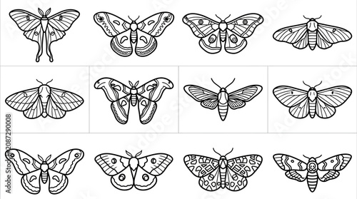 Vintage Moth Illustrations Collection