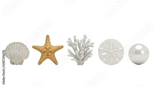 Set of five marine featuring a seashell, a golden starfish, white coral, a sand dollar, and a pearl isolated on a white background
