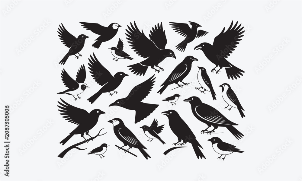 Fototapeta premium Vector bird icon set. Symbol silhouettes of birds vector illustration