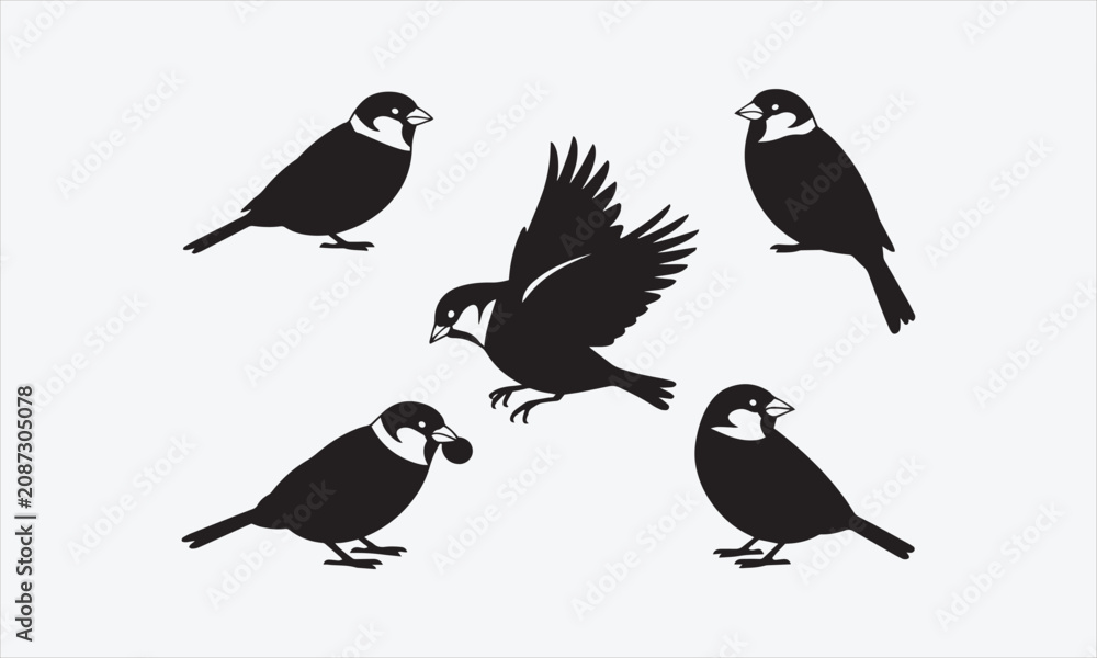 Fototapeta premium Vector set of sparrow silhouettes. Isolated cut out illustrations