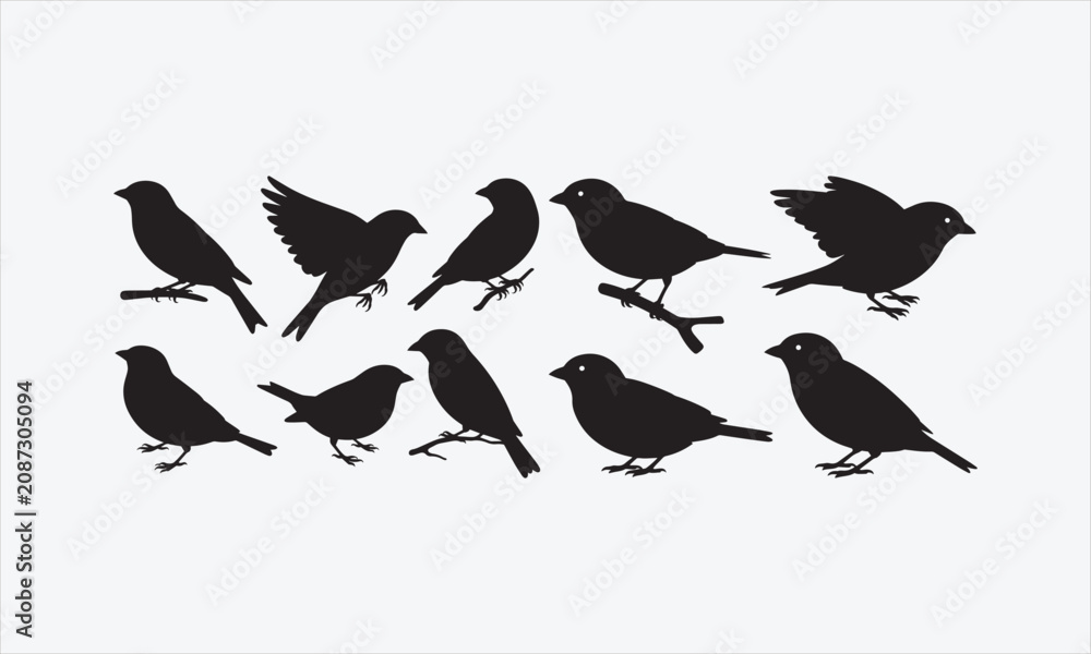Fototapeta premium Vector set of sparrow silhouettes. Isolated cut out illustrations