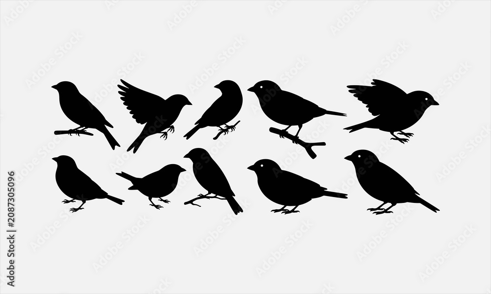 Fototapeta premium Vector set of sparrow silhouettes. Isolated cut out illustrations