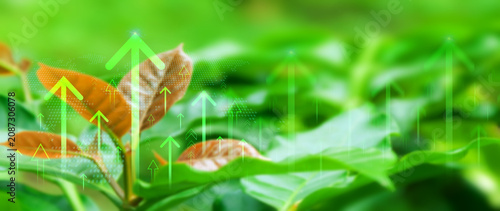 Sustainable green business growth and green investment concepts, ESG, Co2, Green technology, Net zero, green energy, finance and investment. Copy space, not ai
