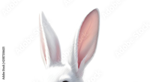 White rabbit ears close up digital illustration isolated on transparent background