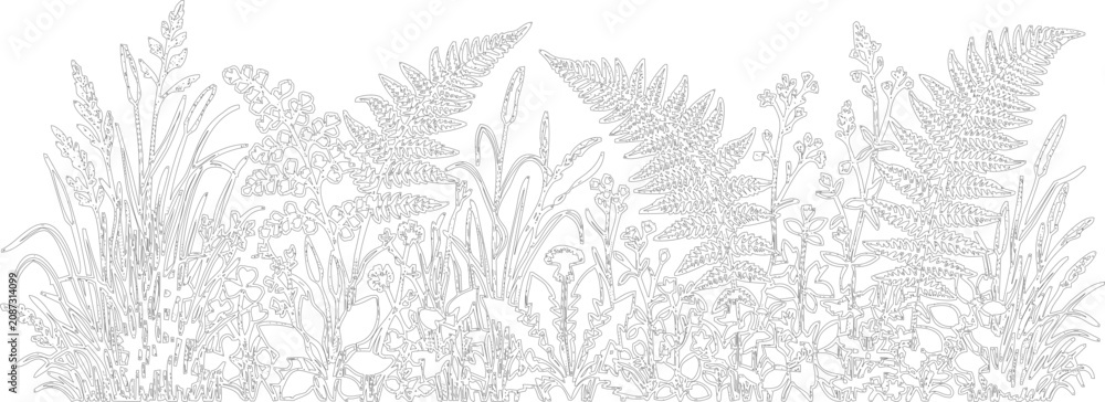 Obraz premium Gray, tropical foliage, leafy jungle plants, botanical border, vector illustration