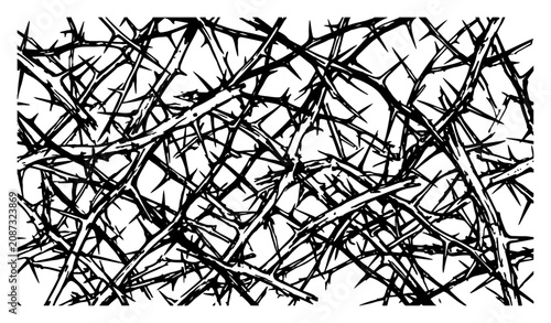 Obraz na płótnie thorny branches background with tangled briars and sharp spikes in grunge style
