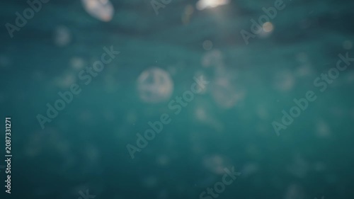 Numerous translucent jellyfish drift through blue ocean water beneath rippling surface, with bright sunlit glow above, soft haze, layered depth, and serene marine atmosphere from upward view