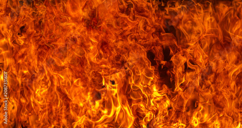 Принти на полотні Fire surrounds vivid flame