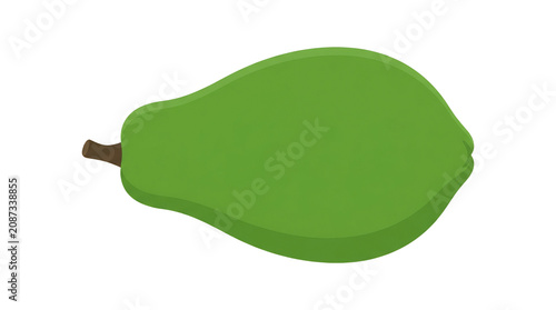 Whole Green Raw Papaya Fruit Vector Illustration Isolated on White Background for Healthy Food and Nutrition Designs
