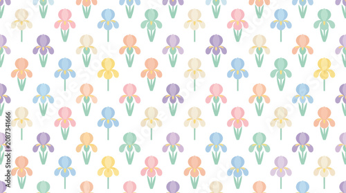 Seamless Pattern of Colorful Irises on White Background, Spring Floral Design