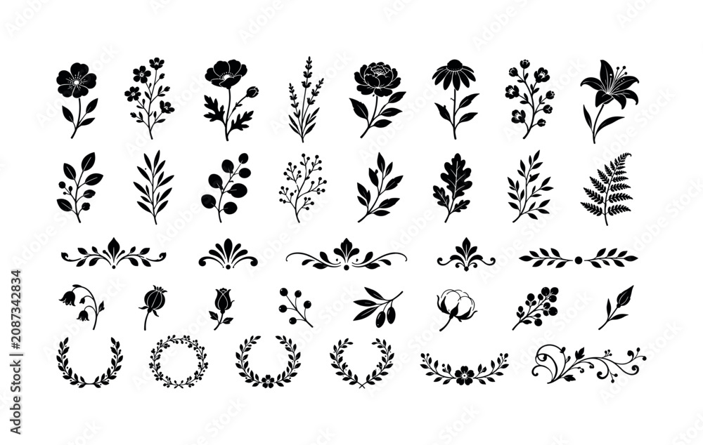 Fototapeta premium Collection of black botanical ornaments and floral elements for design