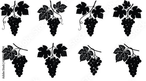 Foto Vector illustration set of black silhouettes of grape bunches with leaves and te
