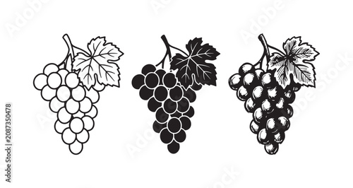Fotografie Detailed bunch of grapes icon set with a leafy stem in line art, solid, and hand