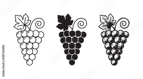 Quadro su tela Classic grapes icon set with leaf and tendril design in line art, solid, and han