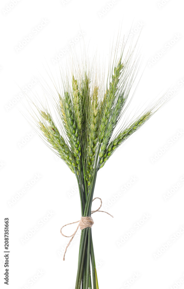 Fototapeta premium Bunch of green wheat spikes isolated on white