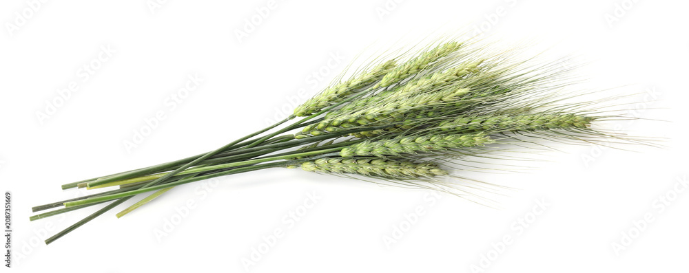 Fototapeta premium Bunch of green wheat spikes isolated on white