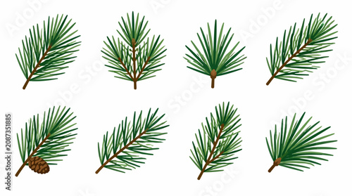 Konstfotografi Pine needle branches and cones illustration set.