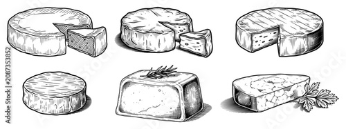 Obraz na płótnie French cheese selection with camembert brie and blue cheese in vintage engraving