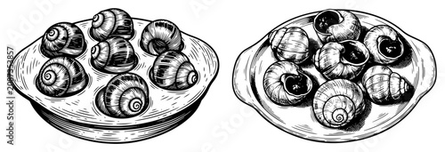 Bild auf Leinwand Escargots cooked snails served on plates in classic vintage engraving style