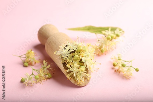 Linden tree blossoms with scoop on pink background, closeup
