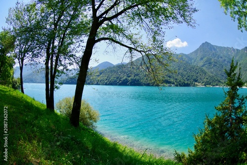 lake and forest, Lago di ledro,