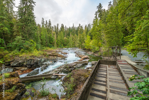 Tableau sur toile Stamp Falls Fish Hatchery