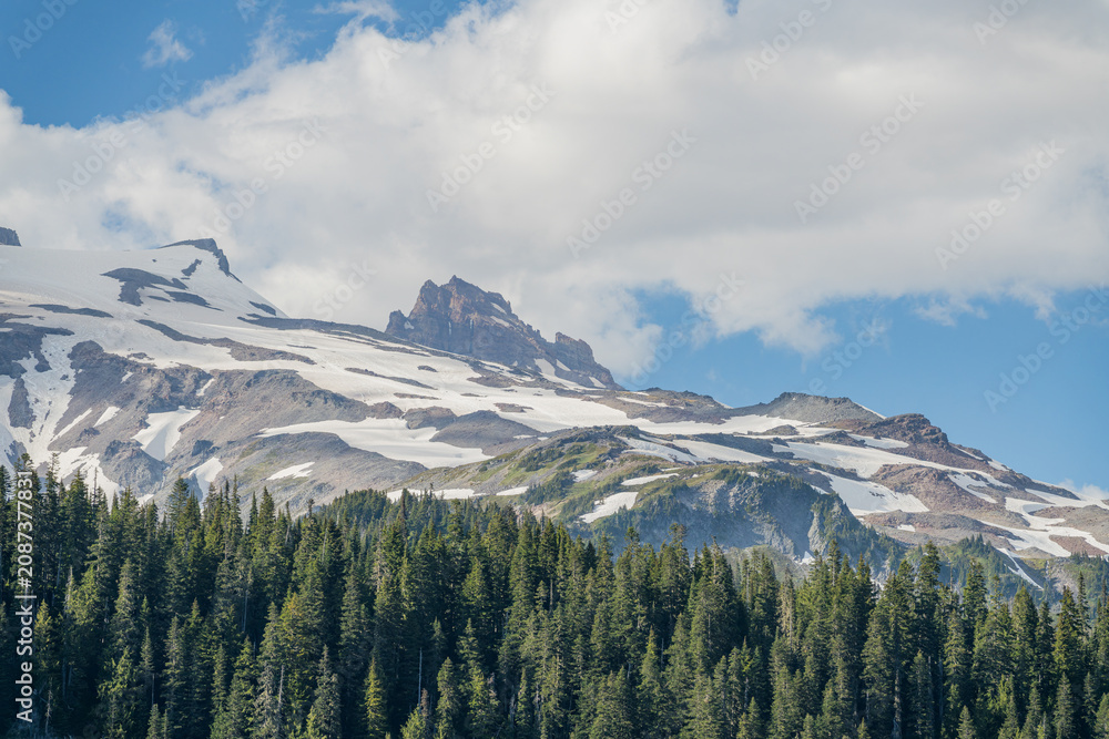 Obraz premium Snowy mountain peaks above evergreen forest in Washington state
