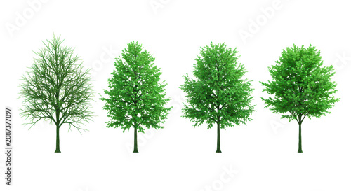 Four distinct skeletal trees, vibrant emerald green crystallized chlorophyll, 3d render against a transparent cyclorama in high-key, shadowless studio light. Concept of technological nature renewal